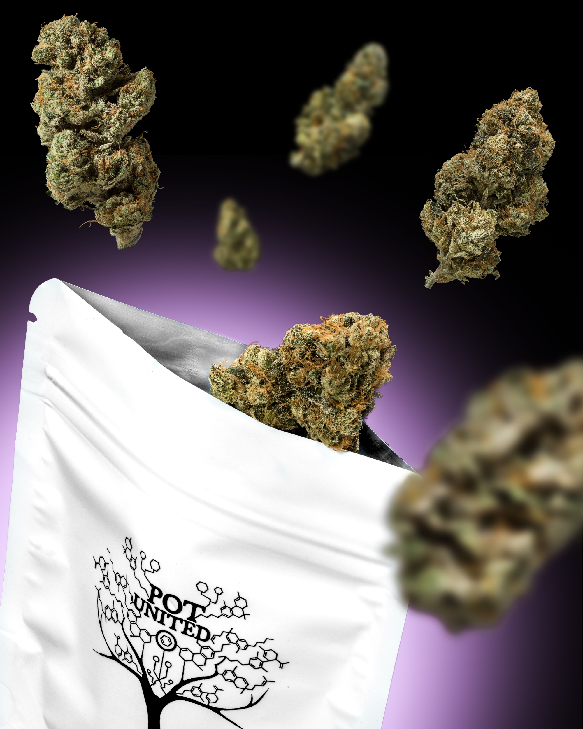 Pot United