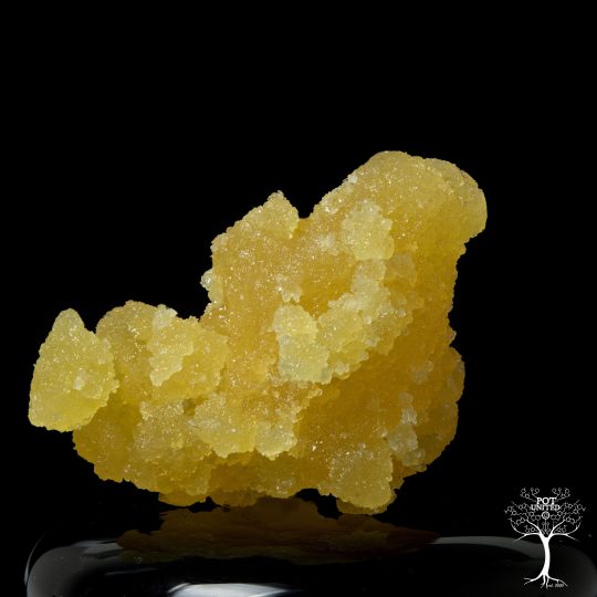 LIVE ROSIN