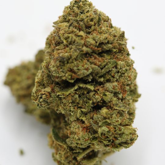 GRAPE APE
