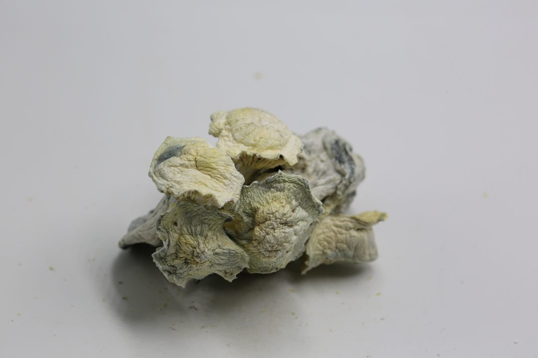 LONG WHYTE CLOUDZ