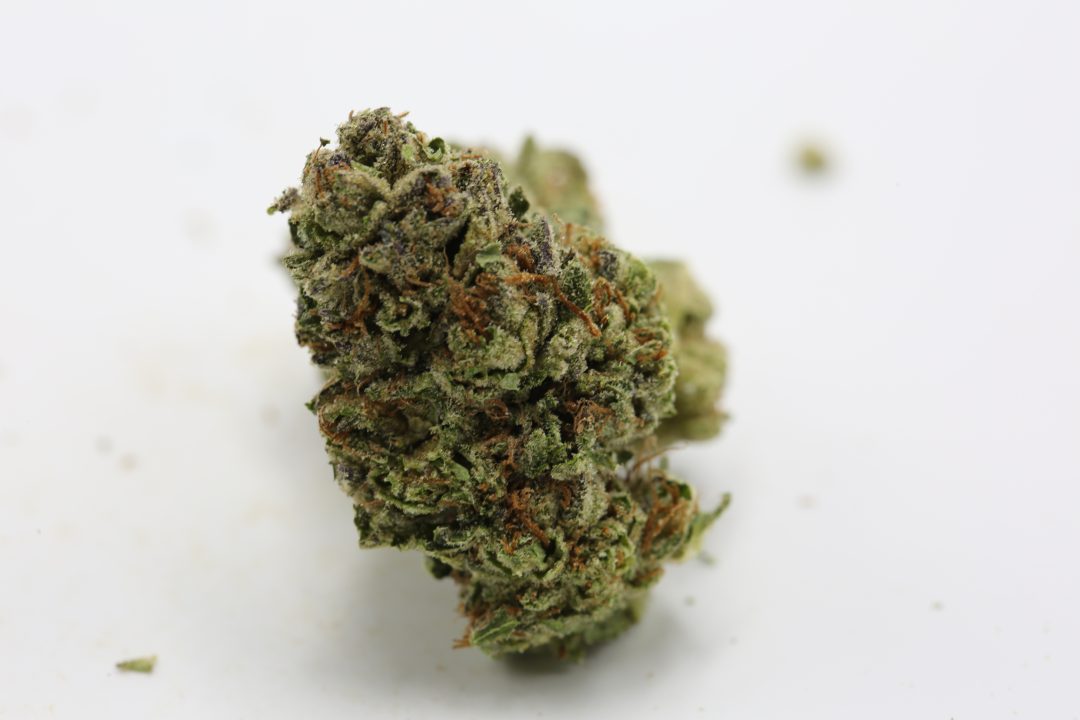 DAKINI KUSH